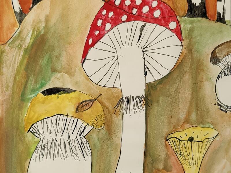 Aquarellierte Tuschezeichnung mit Pilzen