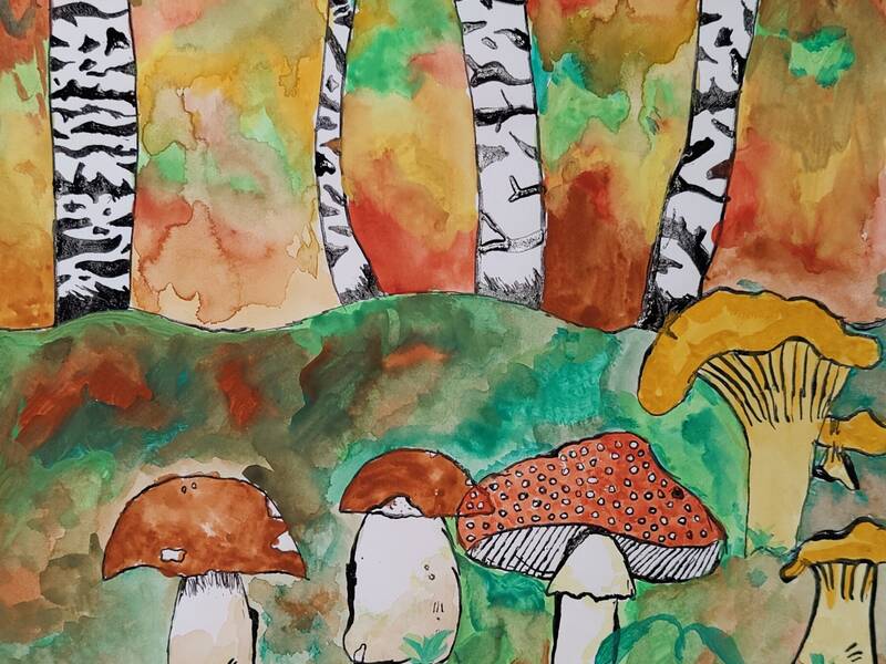 Aquarellierte Tuschezeichnung mit Pilzen
